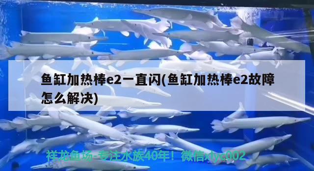 魚缸加熱棒e2一直閃(魚缸加熱棒e2故障怎么解決)