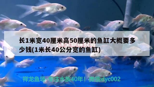 長(zhǎng)1米寬40厘米高50厘米的魚缸大概要多少錢(1米長(zhǎng)40公分寬的魚缸) 泰國虎魚（泰虎）