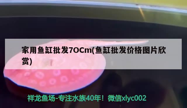 魚缸清洗的重要性以及如何清洗魚缸的重要性以及清洗方法，魚缸清洗的方法 黃金鴨嘴魚 第2張