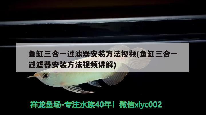 魚缸三合一過濾器安裝方法視頻(魚缸三合一過濾器安裝方法視頻講解)