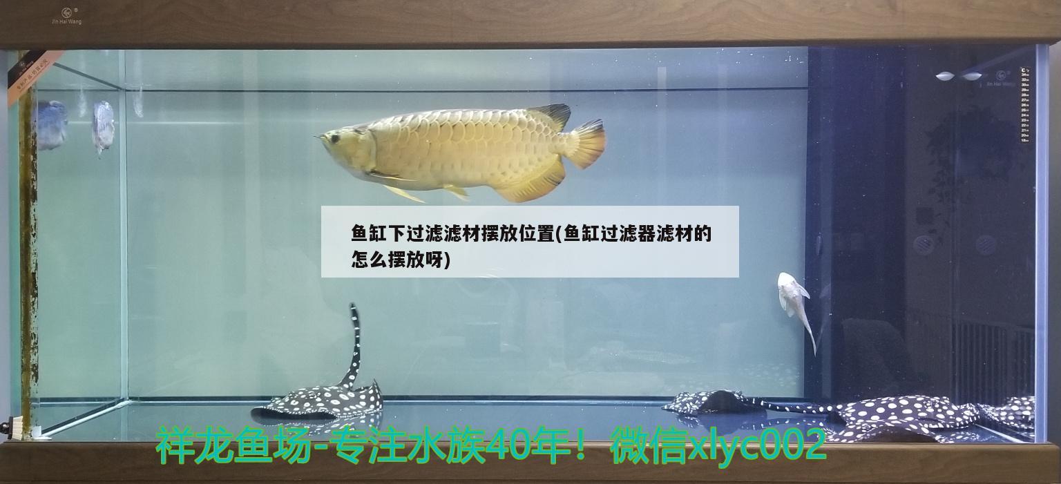 魚缸下過(guò)濾濾材擺放位置(魚缸過(guò)濾器濾材的怎么擺放呀)