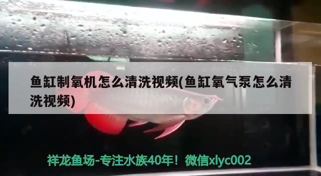 魚缸制氧機怎么清洗視頻(魚缸氧氣泵怎么清洗視頻) 名貴錦鯉魚