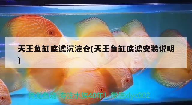 天王魚缸底濾沉淀倉(天王魚缸底濾安裝說明) iwish愛唯希品牌魚缸