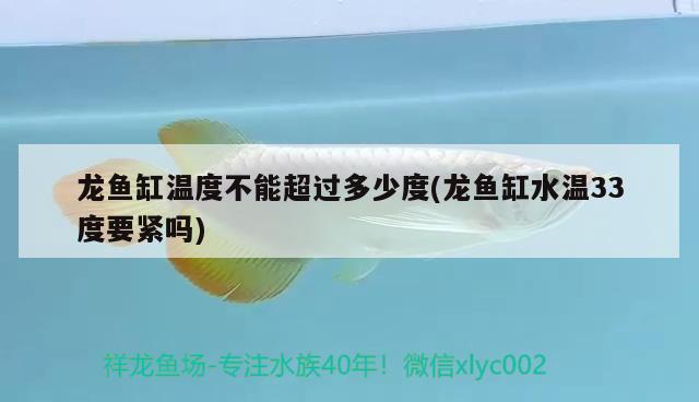 龍魚缸溫度不能超過多少度(龍魚缸水溫33度要緊嗎) 蘇虎 第1張