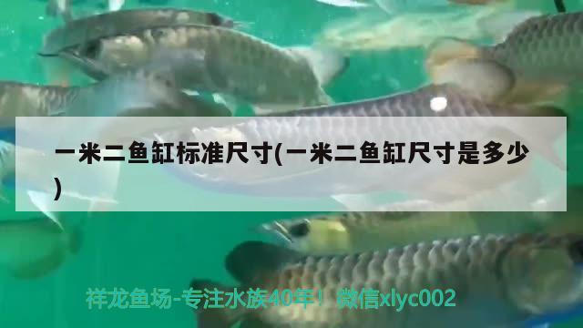 一米二魚缸標(biāo)準(zhǔn)尺寸(一米二魚缸尺寸是多少) 狗仔招財(cái)貓魚