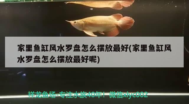 家里魚缸風(fēng)水羅盤怎么擺放最好(家里魚缸風(fēng)水羅盤怎么擺放最好呢)