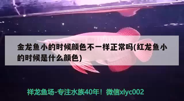 魚缸中放海鹽有什么作用(魚缸里放海鹽會使水變渾濁嗎)