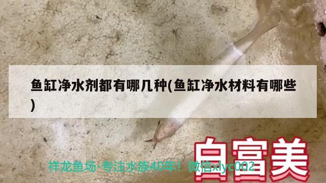 魚缸凈水劑都有哪幾種(魚缸凈水材料有哪些)