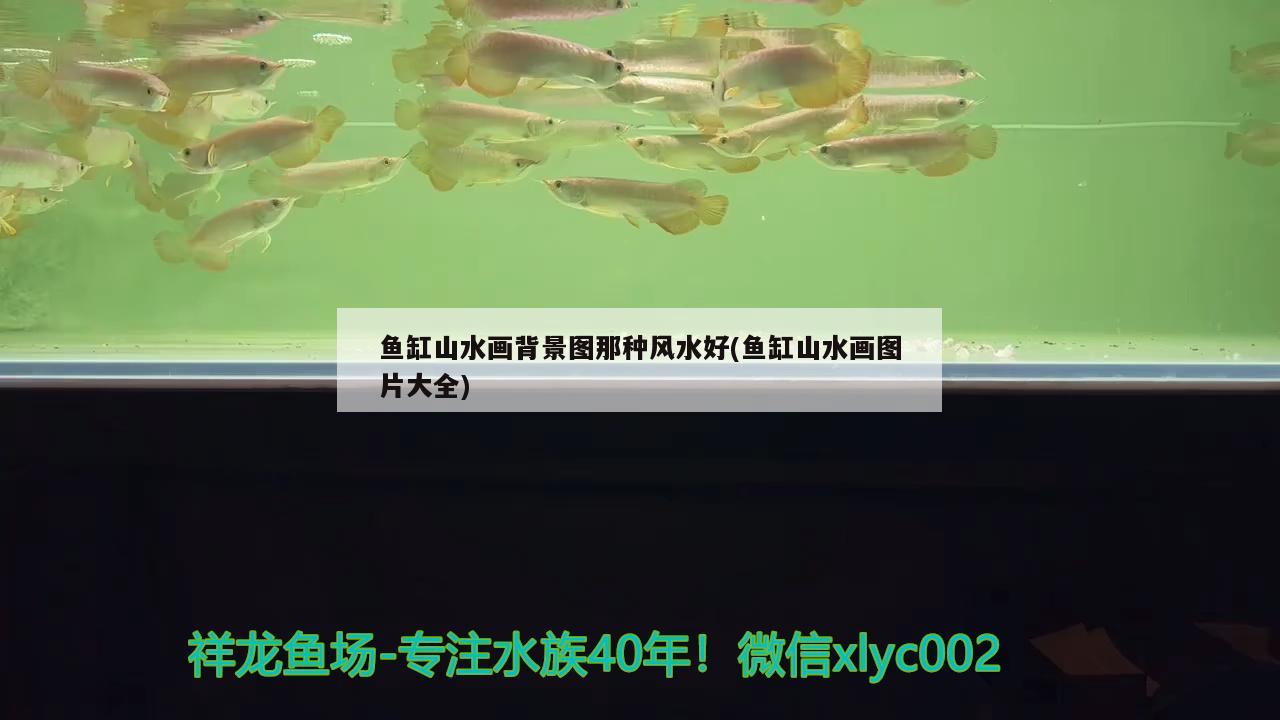 魚缸山水畫背景圖那種風(fēng)水好(魚缸山水畫圖片大全) 魚缸風(fēng)水