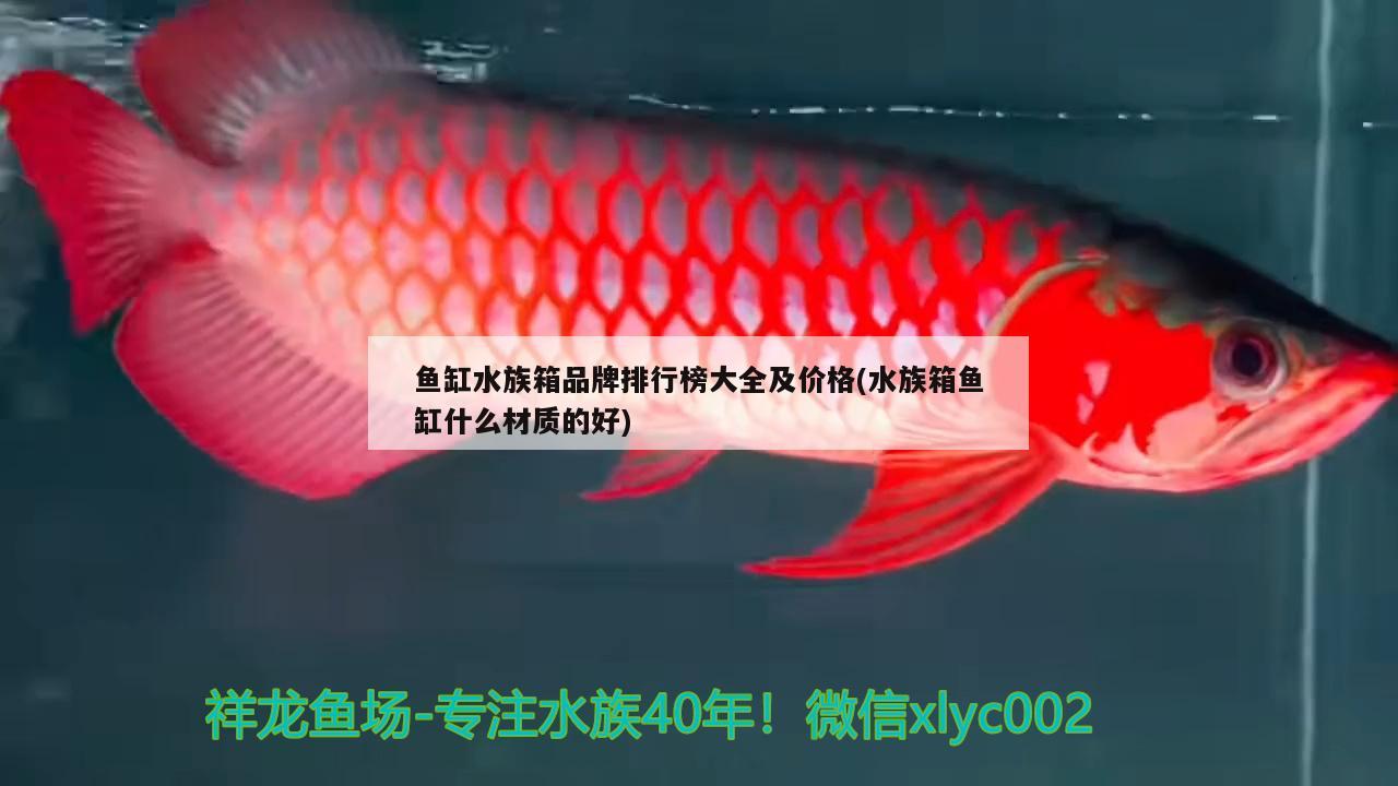 魚缸水族箱品牌排行榜大全及價格(水族箱魚缸什么材質(zhì)的好)