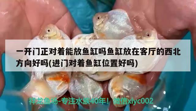 一開門正對著能放魚缸嗎魚缸放在客廳的西北方向好嗎(進門對著魚缸位置好嗎)