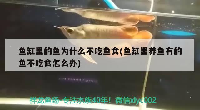 品牌魚缸使用年限是多少年的：2021魚缸品牌排行榜 水族維護服務（上門） 第1張