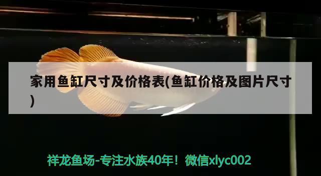 家用魚缸尺寸及價格表(魚缸價格及圖片尺寸)