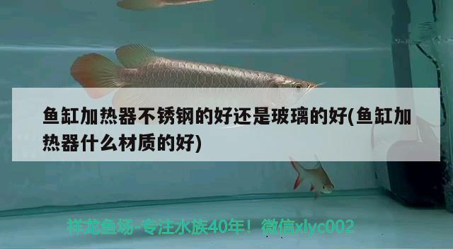 魚缸加熱器不銹鋼的好還是玻璃的好(魚缸加熱器什么材質(zhì)的好)