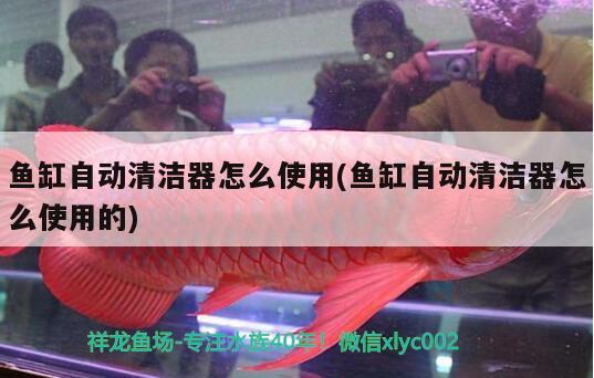 魚缸自動清潔器怎么使用(魚缸自動清潔器怎么使用的) 祥龍魚場品牌產(chǎn)品