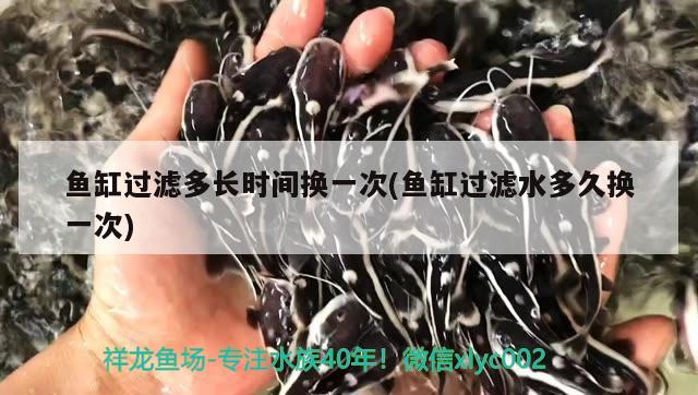 龍魚的品種有幾種！，龍魚的種類 觀賞魚 第2張