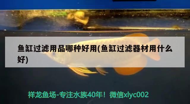 魚缸過濾用品哪種好用(魚缸過濾器材用什么好) 孵化器