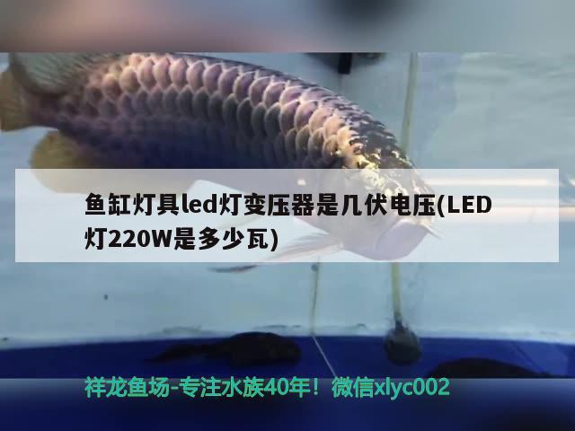 魚缸燈具led燈變壓器是幾伏電壓(LED燈220W是多少瓦) 祥龍水族濾材/器材