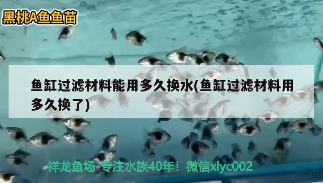 魚缸過濾材料能用多久換水(魚缸過濾材料用多久換了)