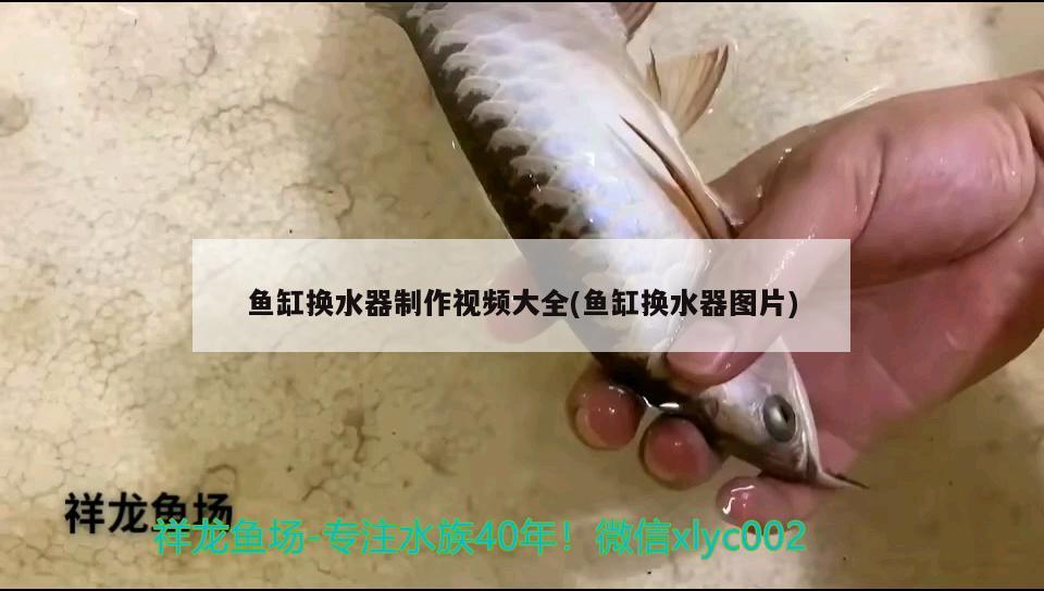 魚缸換水器制作視頻大全(魚缸換水器圖片) 圣菲埃及魚