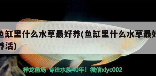 韶關水族館打卡很活躍哦