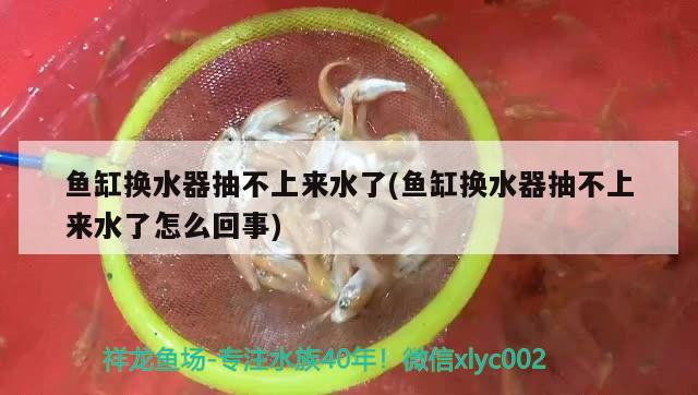 魚(yú)缸的缸該怎么寫(xiě) 魚(yú)缸的缸該怎么寫(xiě)拼音 白子銀龍魚(yú)苗 第2張