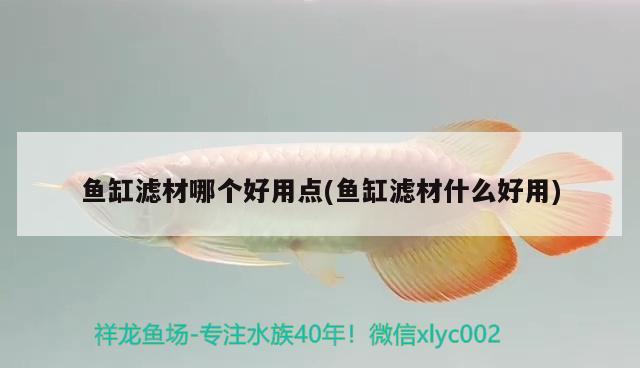 魚(yú)缸濾材哪個(gè)好用點(diǎn)(魚(yú)缸濾材什么好用)