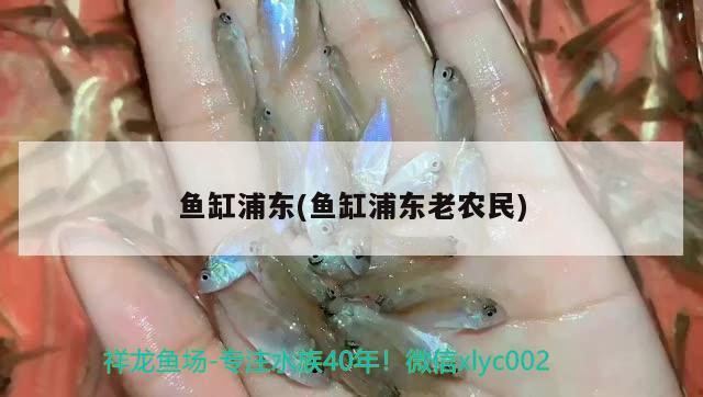 魚缸浦東(魚缸浦東老農(nóng)民) 祥龍龍魚專用水族燈