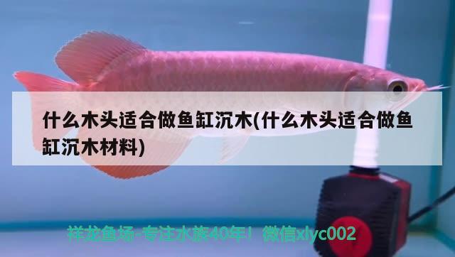 魚缸二氧化碳對人體有害嗎視頻：魚缸二氧化碳對人體有害嗎視頻