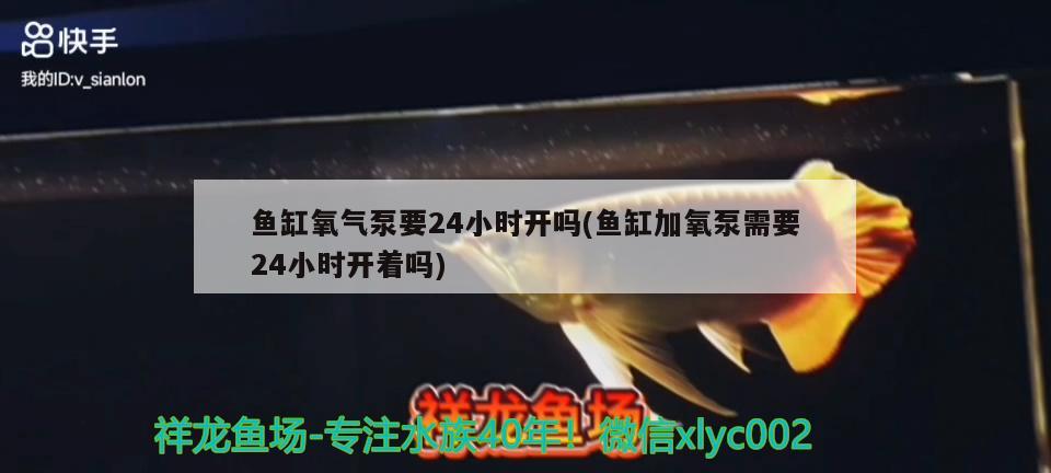 魚缸氧氣泵要24小時開嗎(魚缸加氧泵需要24小時開著嗎) 觀賞魚市場 第1張