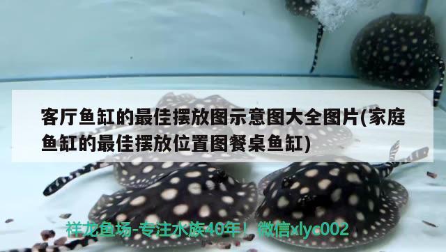 客廳魚缸的最佳擺放圖示意圖大全圖片(家庭魚缸的最佳擺放位置圖餐桌魚缸)