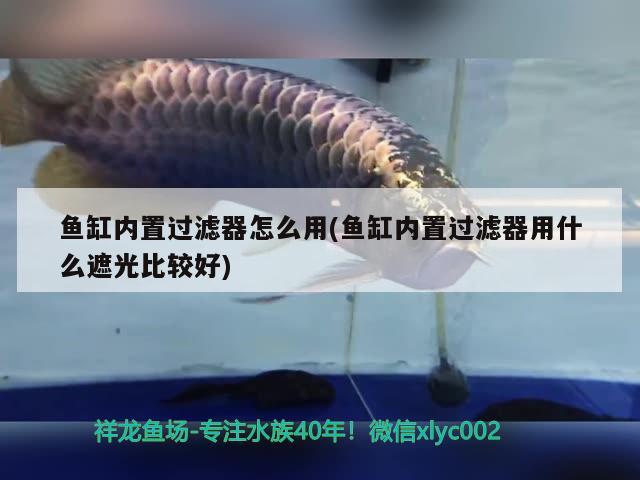 魚(yú)缸內(nèi)置過(guò)濾器怎么用(魚(yú)缸內(nèi)置過(guò)濾器用什么遮光比較好) 龍魚(yú)專用燈