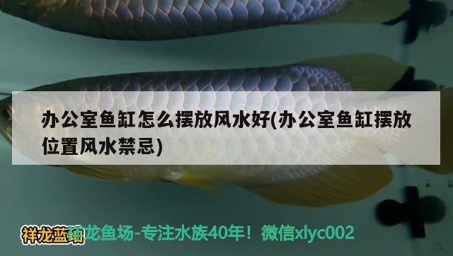 辦公室魚缸怎么擺放風(fēng)水好(辦公室魚缸擺放位置風(fēng)水禁忌) 魚缸風(fēng)水