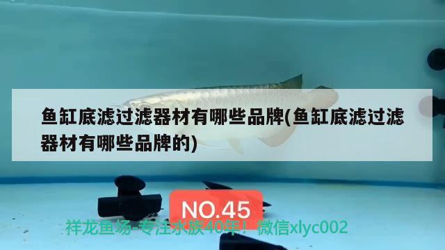 魚缸底濾過(guò)濾器材有哪些品牌(魚缸底濾過(guò)濾器材有哪些品牌的) 麥肯斯銀版魚