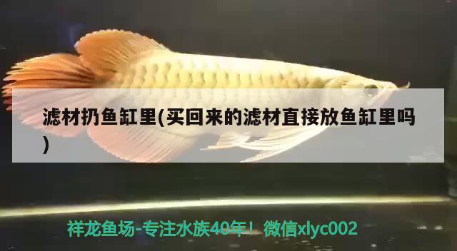 濾材扔魚缸里(買回來的濾材直接放魚缸里嗎)