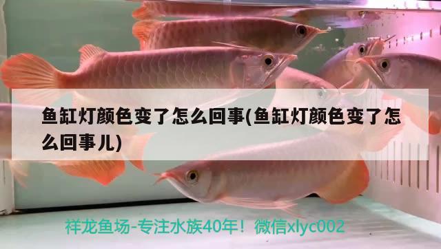 魚缸燈顏色變了怎么回事(魚缸燈顏色變了怎么回事兒) PH調(diào)節(jié)劑