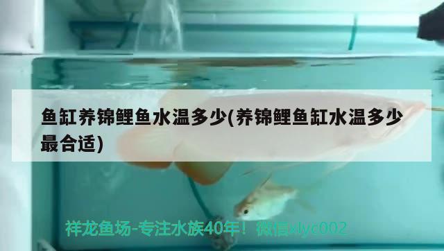 南美水族手機(jī)版下載：南美水族家園官方下載 觀賞魚市場 第2張