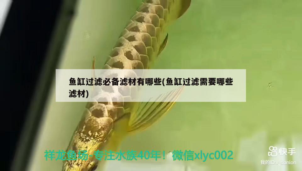 魚(yú)缸過(guò)濾必備濾材有哪些(魚(yú)缸過(guò)濾需要哪些濾材) 金頭過(guò)背金龍魚(yú)