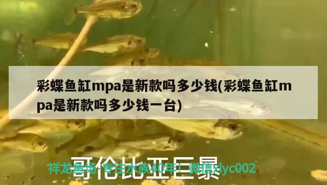 彩蝶魚缸mpa是新款嗎多少錢(彩蝶魚缸mpa是新款嗎多少錢一臺(tái)) 廣州水族批發(fā)市場(chǎng)