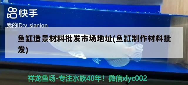 繁殖埃及神仙魚(yú)的魚(yú)缸要求多大合適(1米魚(yú)缸養(yǎng)多少條埃及神仙魚(yú))