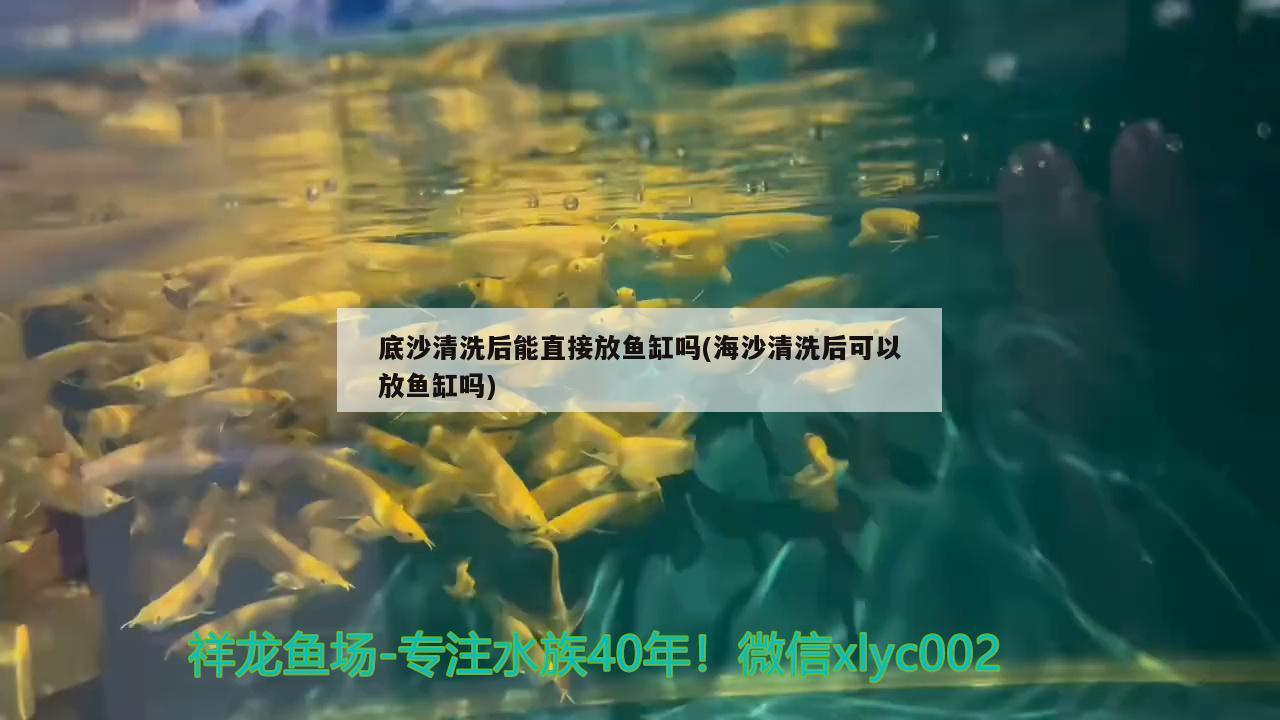 底沙清洗后能直接放魚缸嗎(海沙清洗后可以放魚缸嗎)