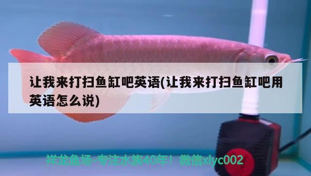 讓我來打掃魚缸吧英語(讓我來打掃魚缸吧用英語怎么說)