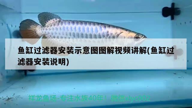 魚(yú)缸過(guò)濾器安裝示意圖圖解視頻講解(魚(yú)缸過(guò)濾器安裝說(shuō)明) 朱巴利魚(yú)