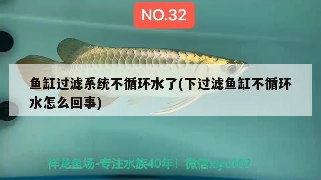 魚缸過濾系統(tǒng)不循環(huán)水了(下過濾魚缸不循環(huán)水怎么回事) 龍鳳鯉魚