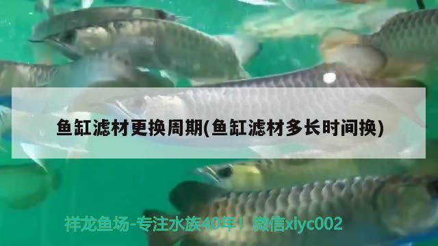 魚缸濾材更換周期(魚缸濾材多長(zhǎng)時(shí)間換) 祥龍龍魚專用水族燈