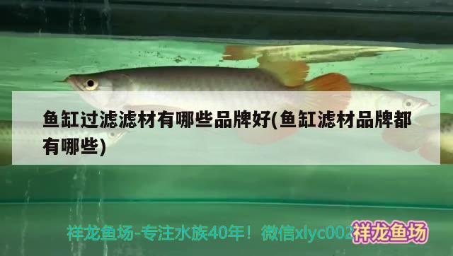 魚缸過濾濾材有哪些品牌好(魚缸濾材品牌都有哪些) 超血紅龍魚