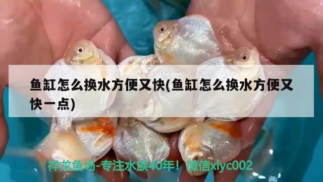 魚缸怎么換水方便又快(魚缸怎么換水方便又快一點(diǎn))