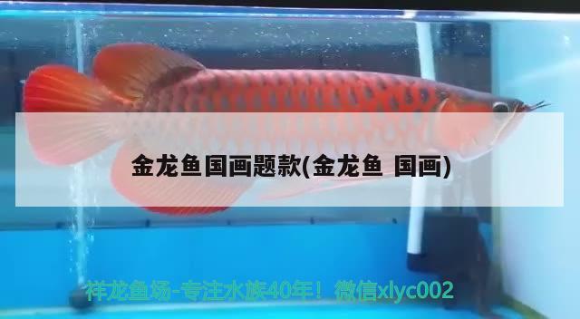 金龍魚國畫題款(金龍魚國畫) 名貴錦鯉魚