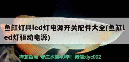 魚(yú)缸燈具led燈電源開(kāi)關(guān)配件大全(魚(yú)缸led燈驅(qū)動(dòng)電源) 電鰻