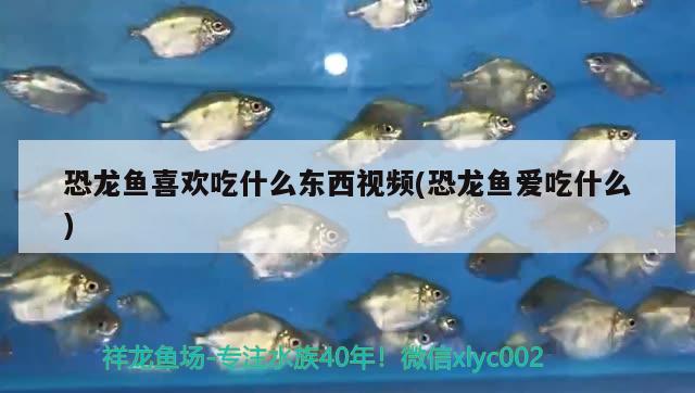 水族魚缸配件有哪些東西組成(魚缸部件名稱圖解) 印尼小紅龍 第2張